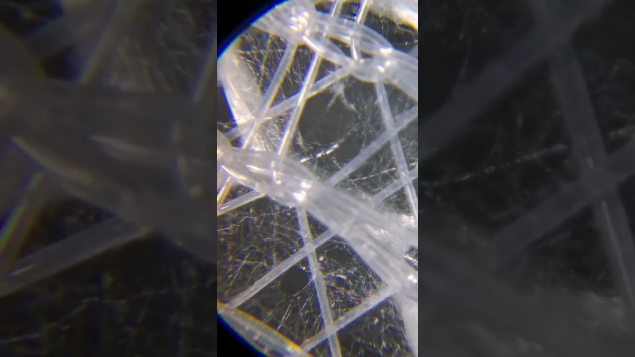 Структура NanoFiber