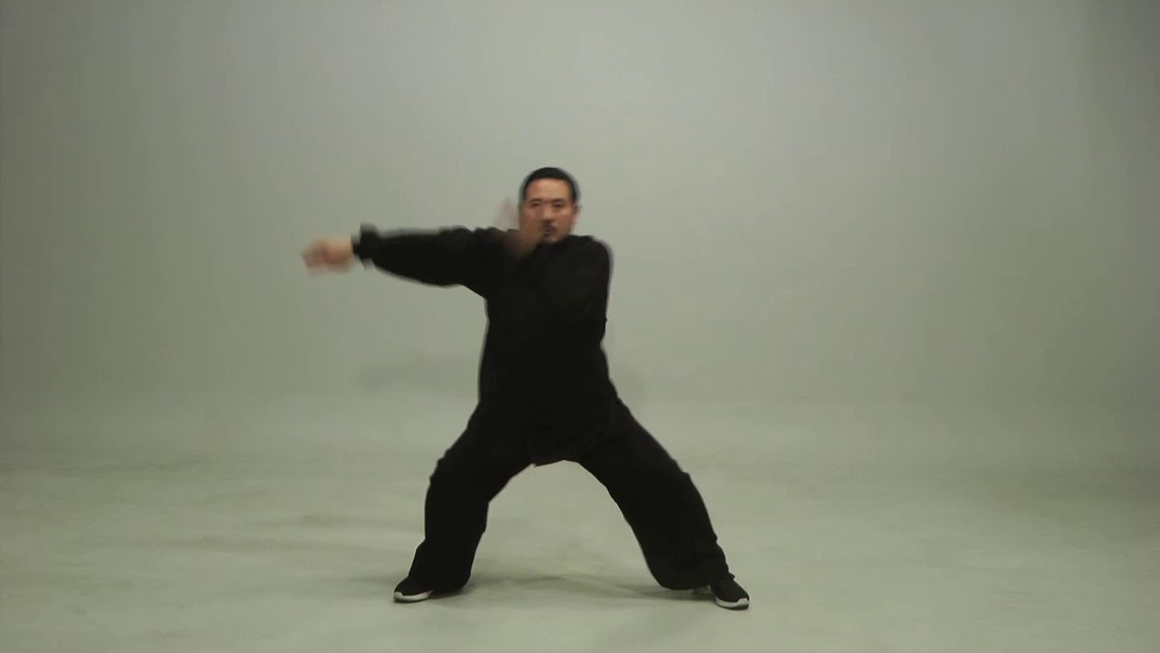 Zhaobao Taichi 9 Form