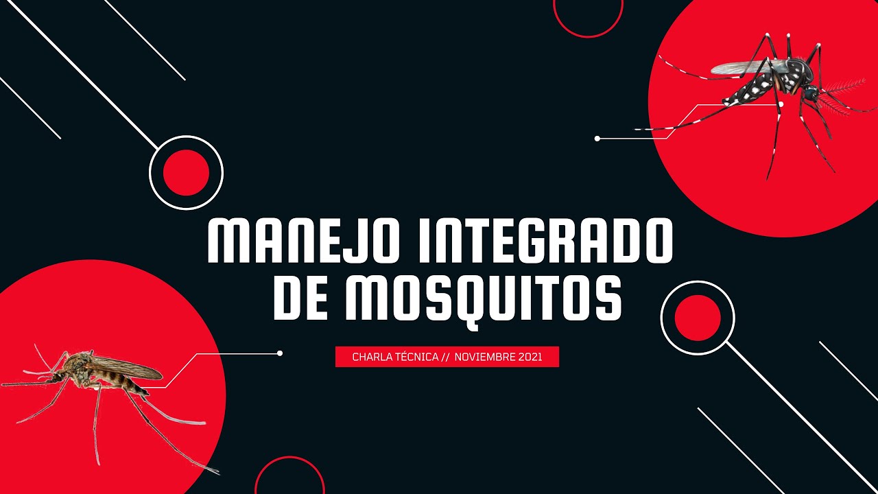 MANEJO INTEGRADO DE MOSQUITOS