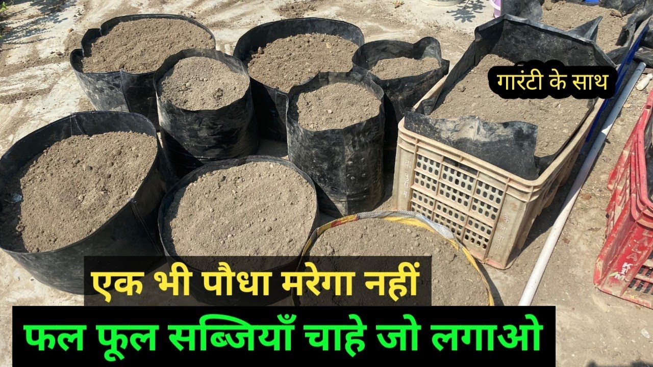 गमले की मिट्टी कैसे तैयार करें / Gamle ki mitti kaise taiyar kare / soil mixture kaise banaye