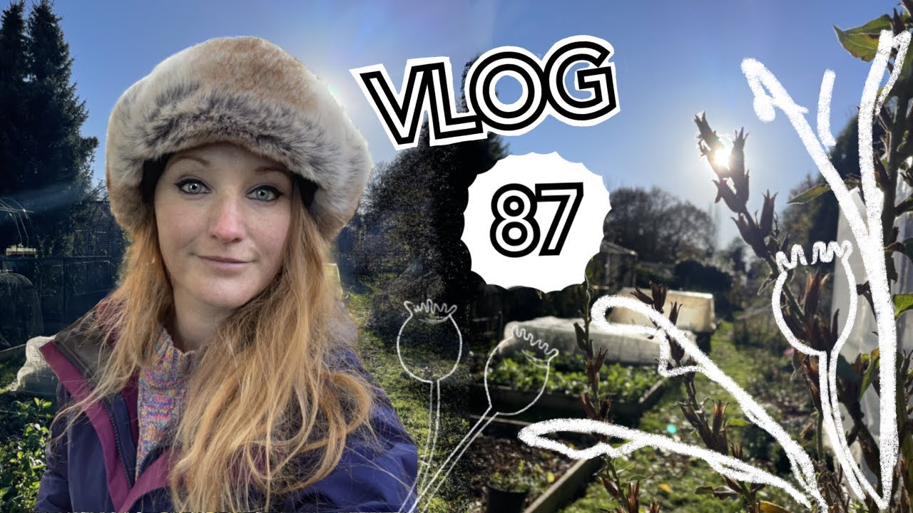 #87 Playing Pimp my Wreath and trip to Ye Olde Cheshire Cheese || Plot 37