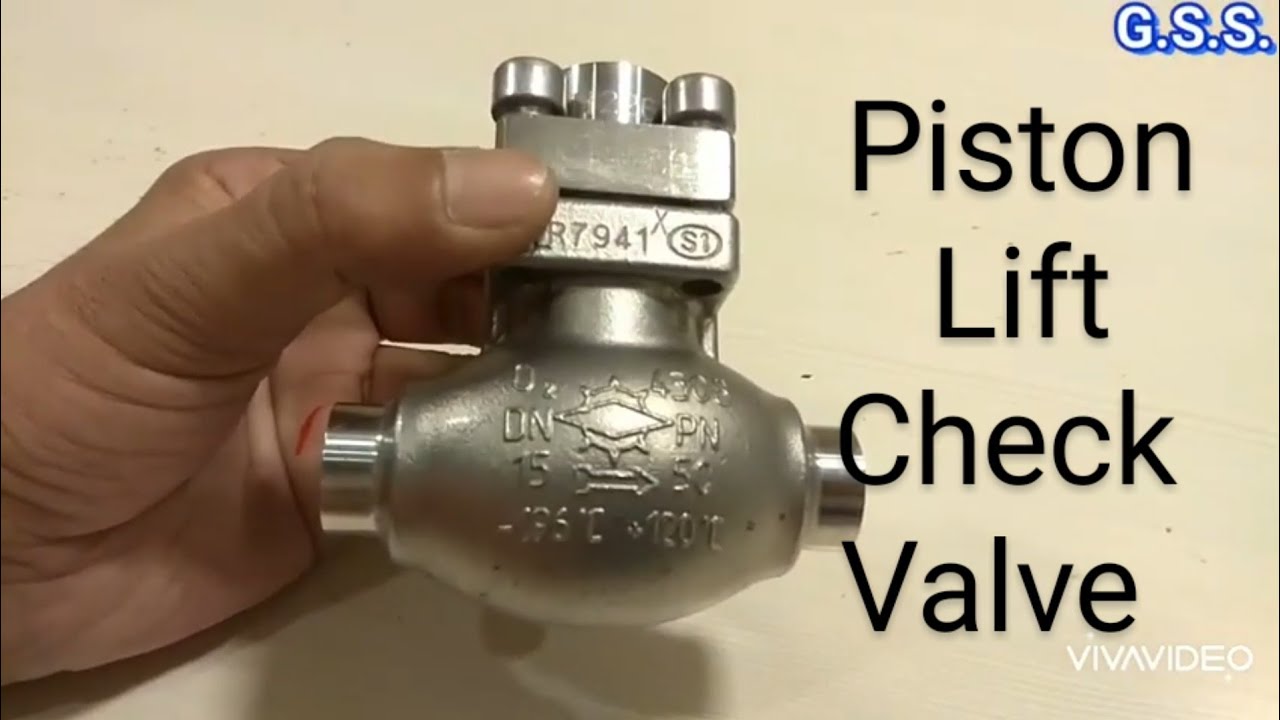 Piping Engineering : Piston Lift Check Valve - Internals