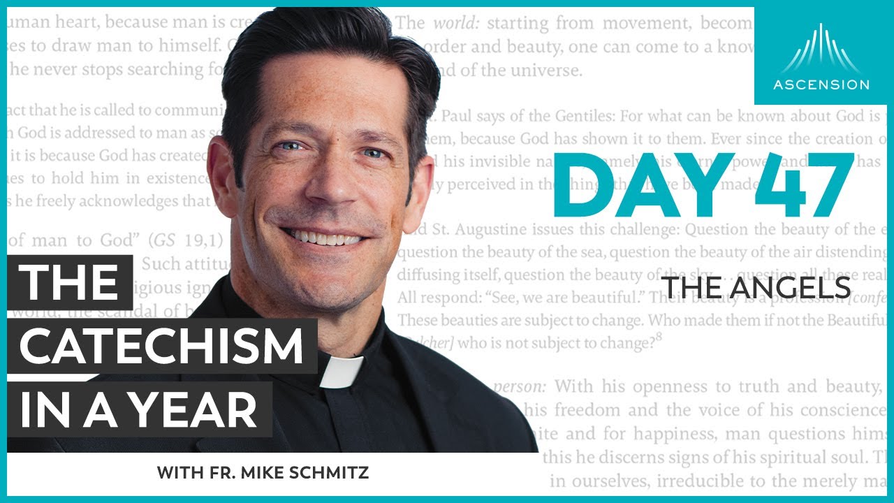 Day 47: The Angels — The Catechism in a Year (with Fr. Mike Schmitz)