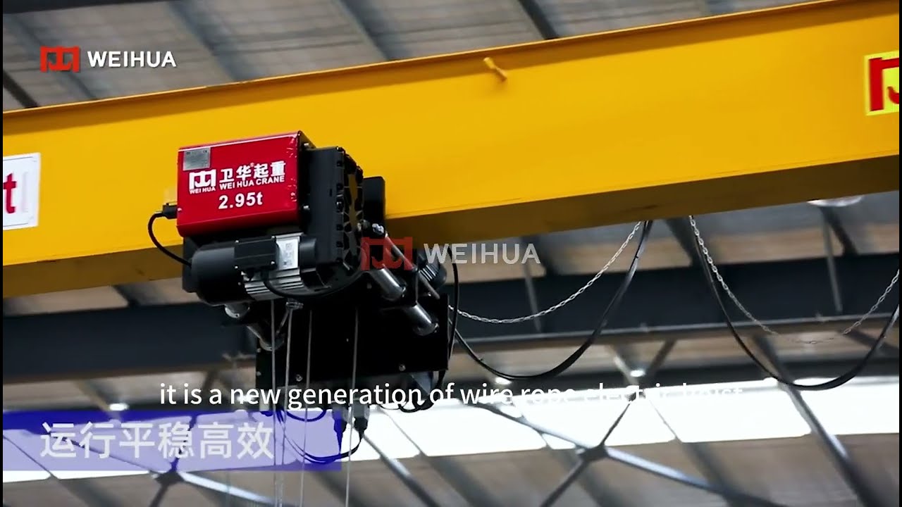 Different Types of European Electric Hoist for Sale