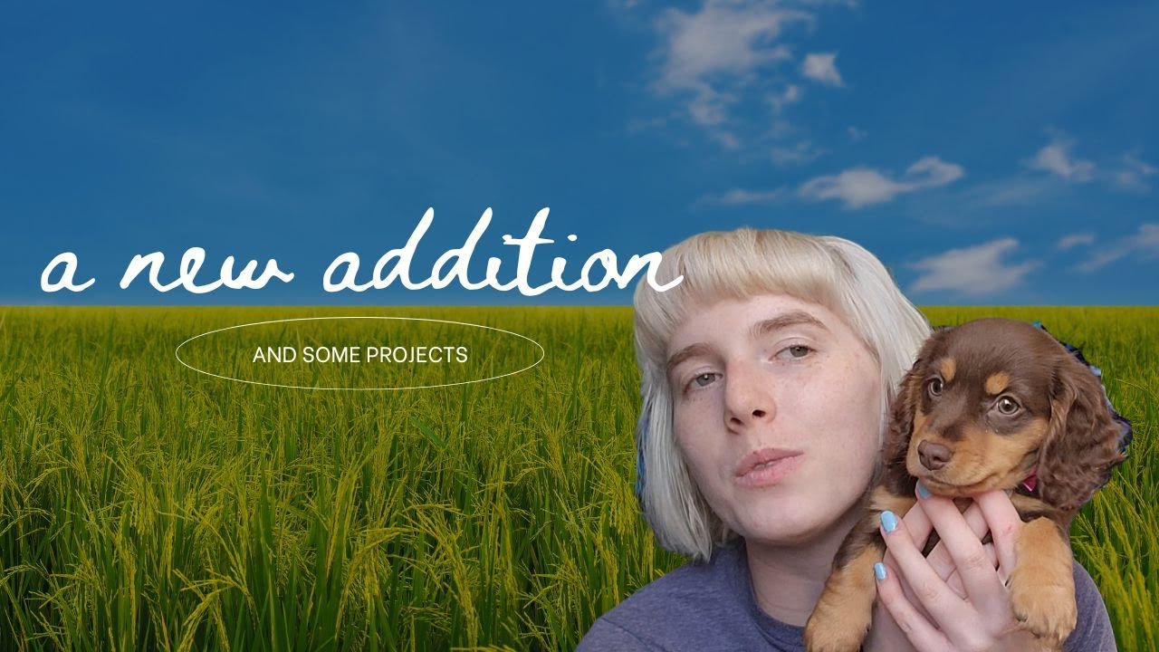 Recapping recent projects - Plus 1 New Puppy