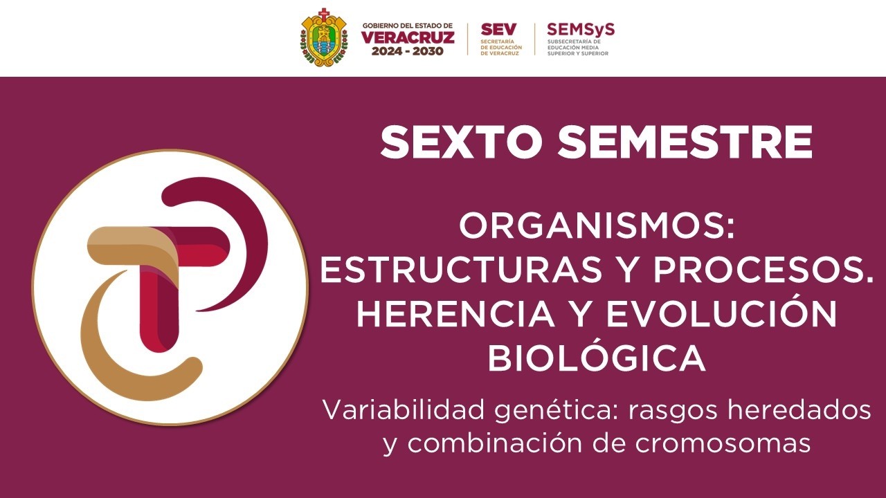 Variabilidad genética: rasgos heredados y combinación de cromosomas