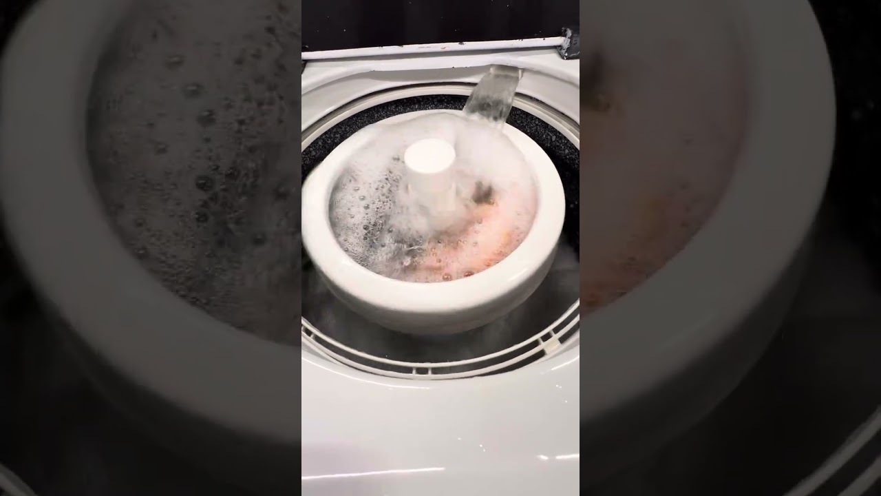 GE Filter Flo Washer 