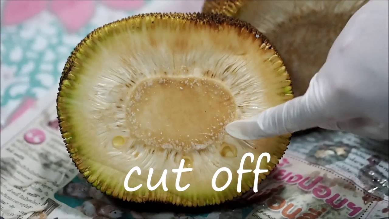 How to cook a young Jackfruit