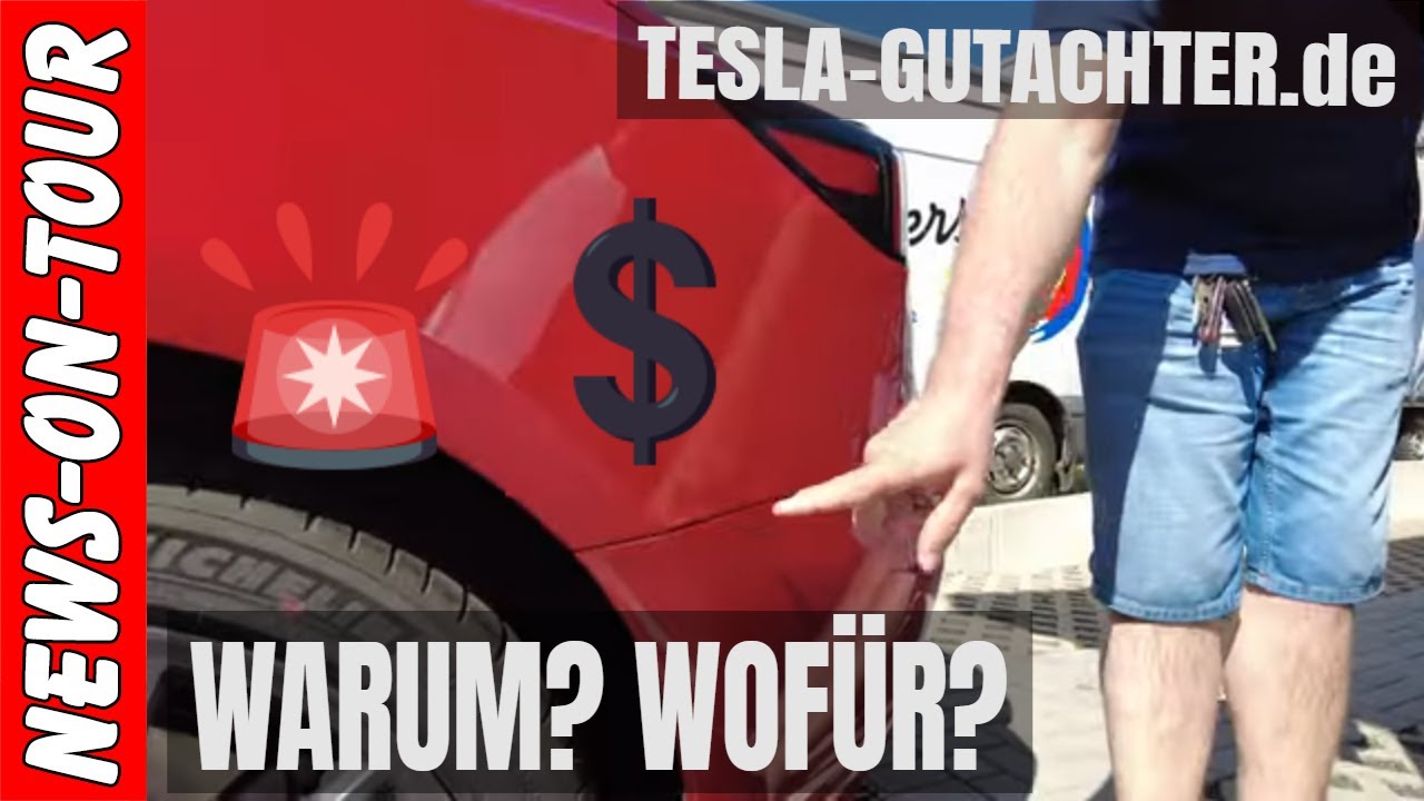 Tesla-Gutachter.de ⚡️ Почему? За что? Вольфганг Мюллер может сэ...