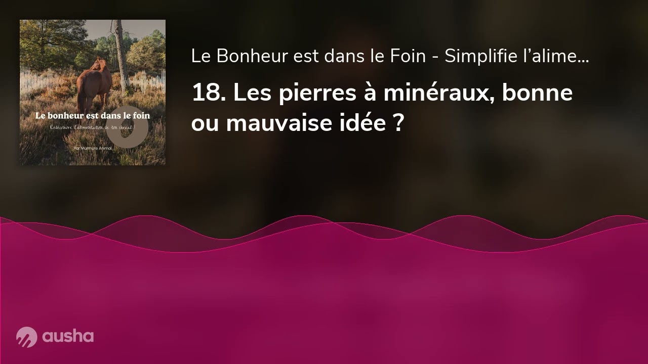 18. Les pierres à minéraux, bonne ou mauvaise idée ?