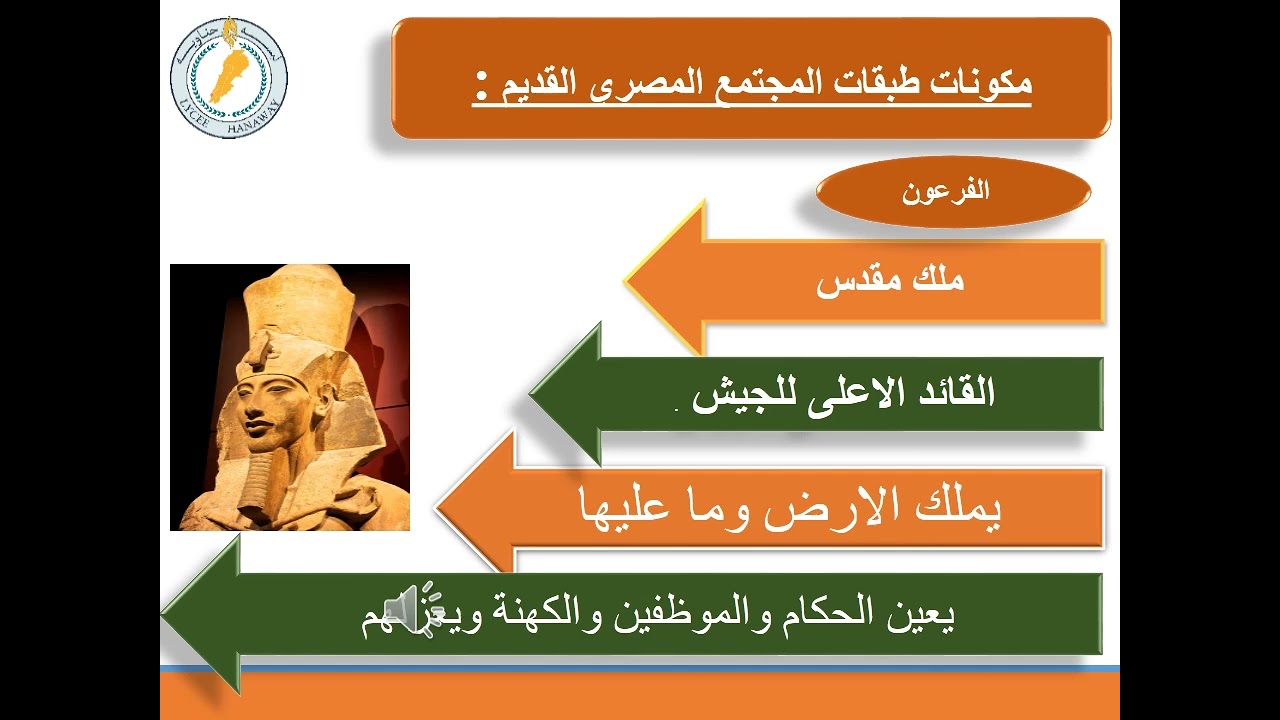 المجتمع المصري