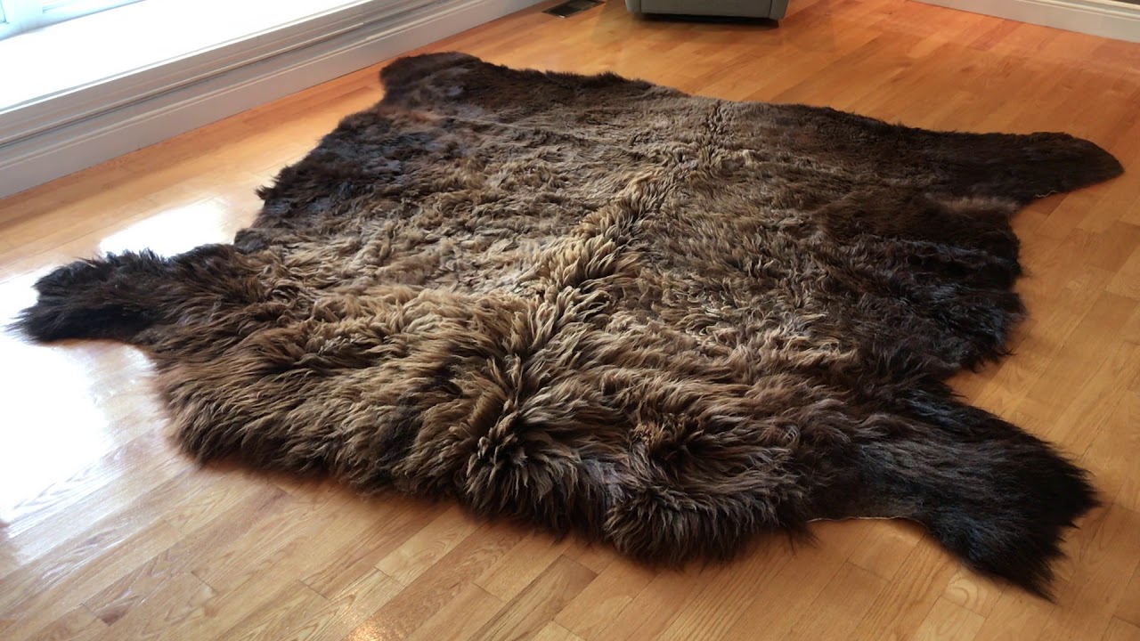 Bison Skin - CowhidesUSA