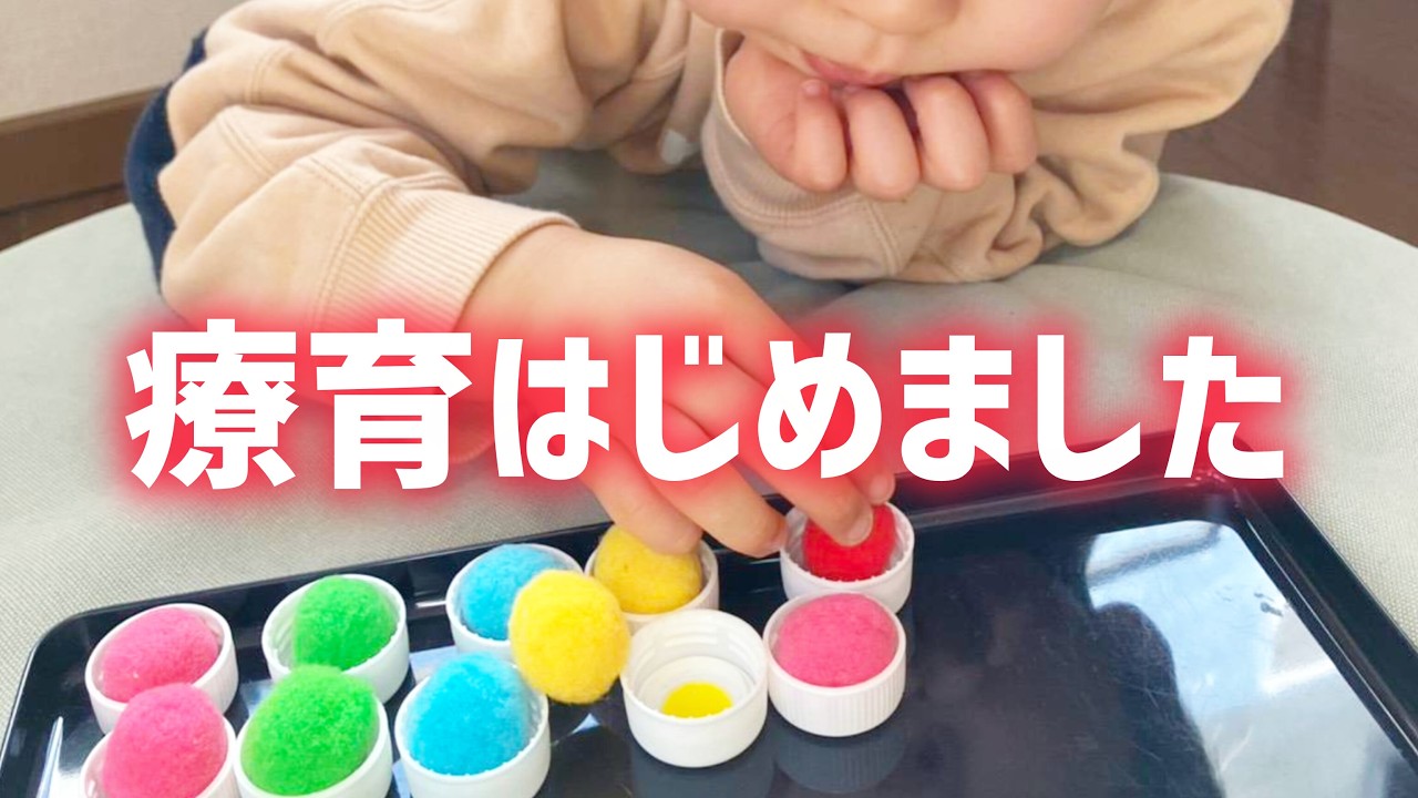 【３歳１０か月】療育施設の選び方と手続きについて
