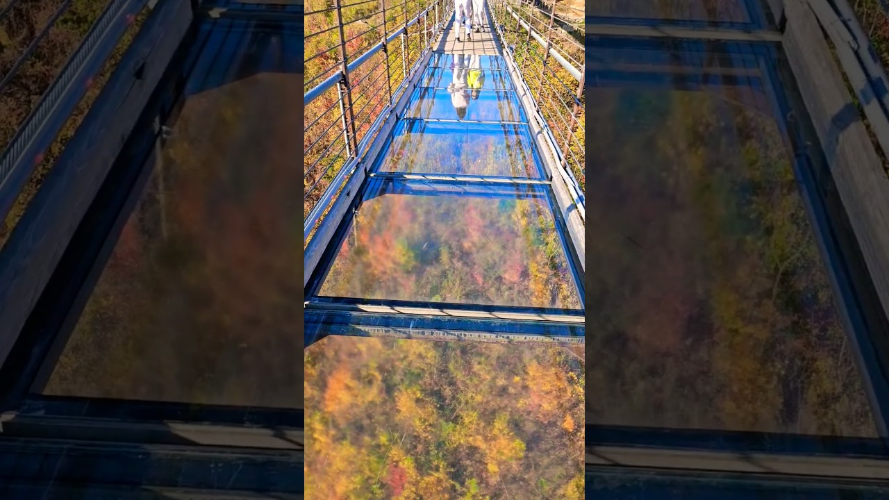 Gatlinburg Skybridge, Glass Bridge, Smoky Mountains, Tennessee #shorts #usa #gatlinburg #tennessee