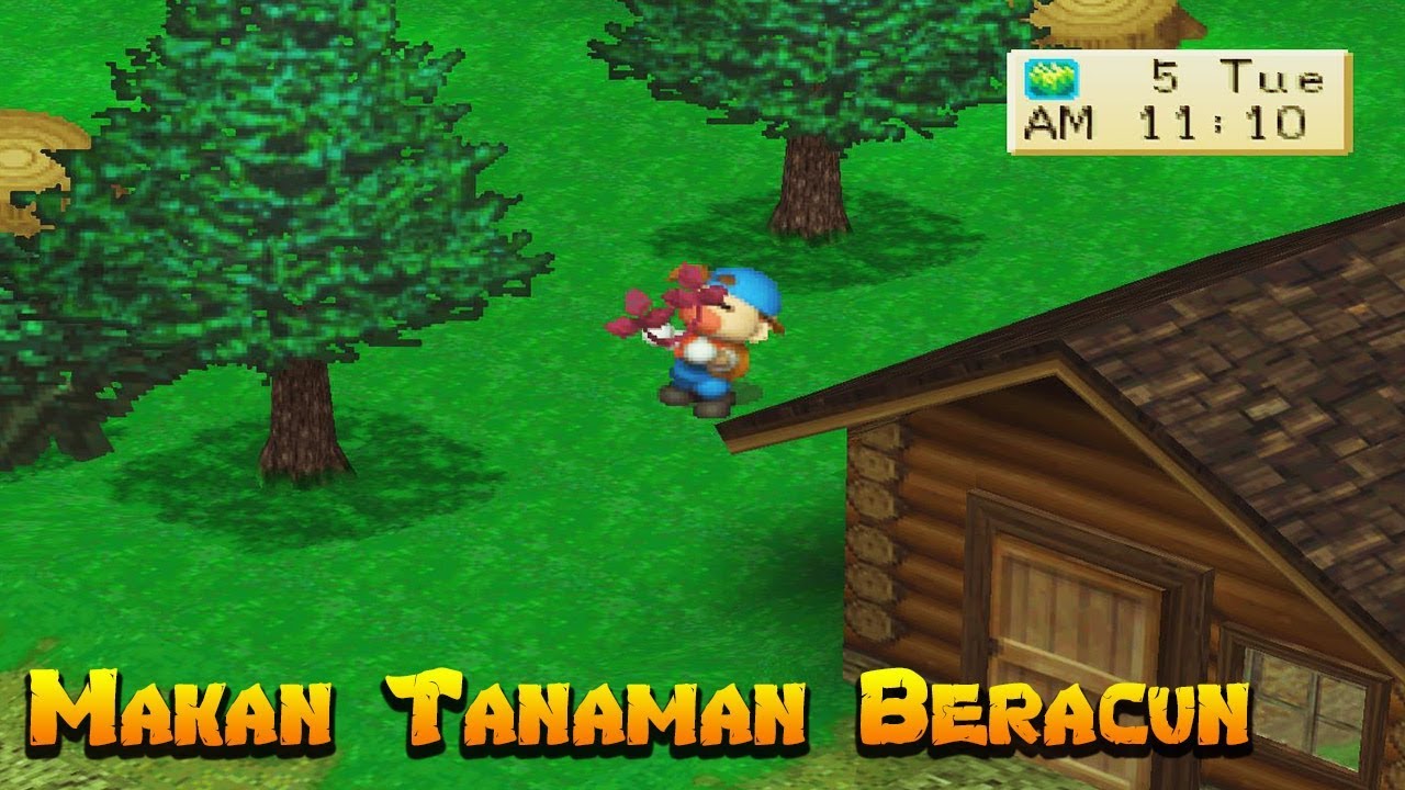 25 Hal KOCAK Yg Dilakukan Di Game Harvest Moon PS1