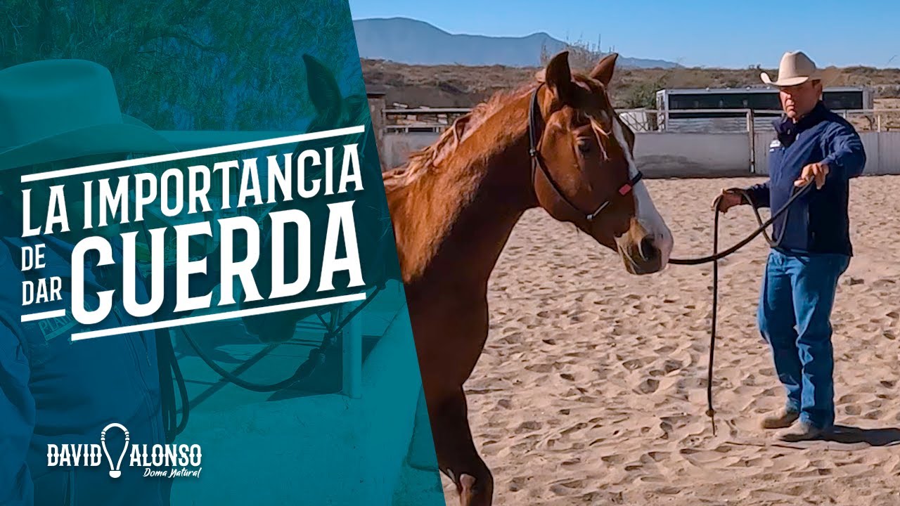 La Importancia de dar cuerda