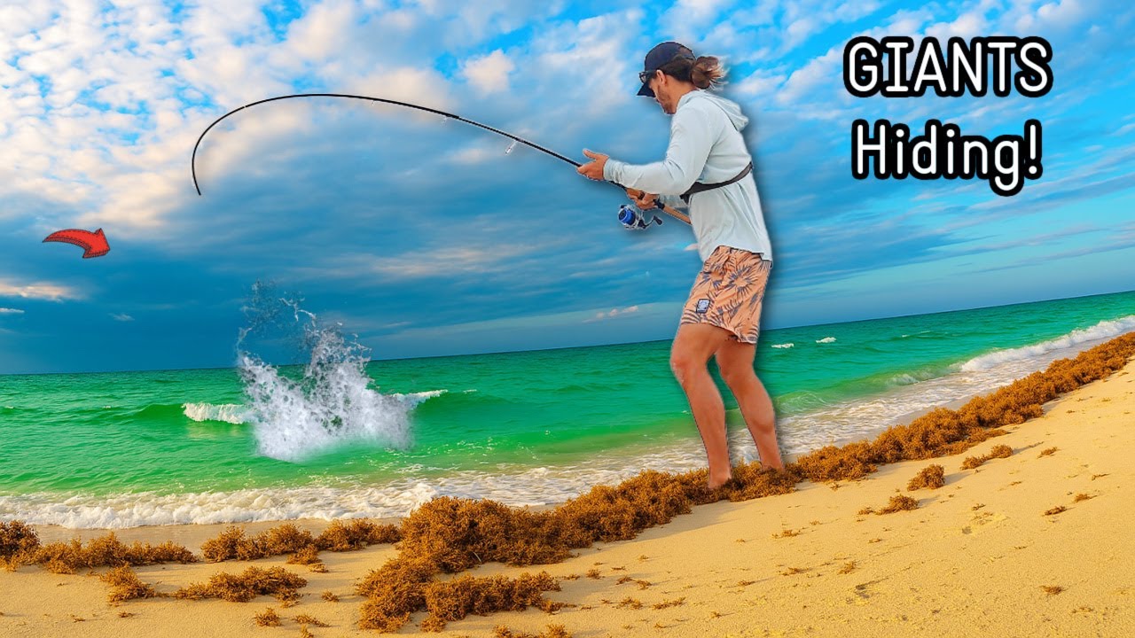 This Beach Looked Unfishable but GIANTS Were Waiting!