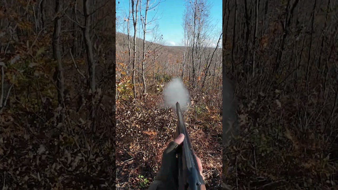 TEK FERMA 2 KUŞ, &Ccedil;ULLUK AVI #&ccedil;ulluk #woodcock #Best woodcock hunting #avcı