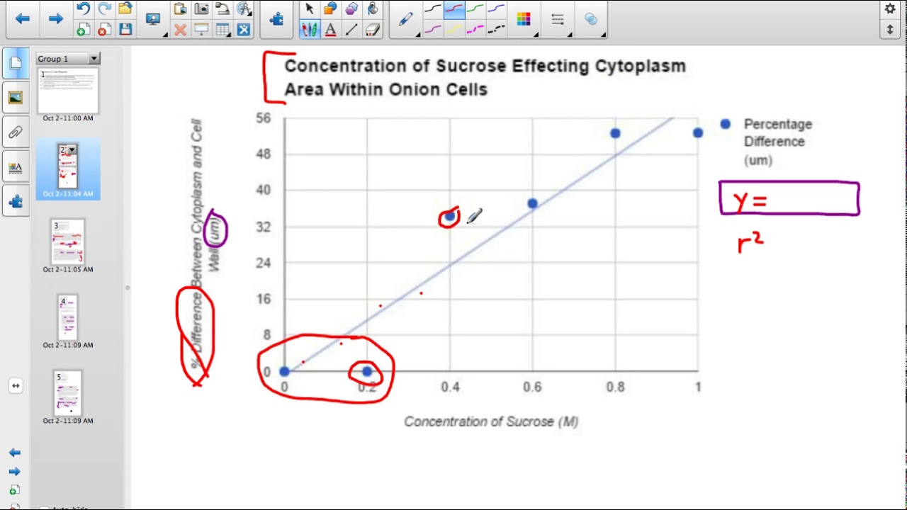 Criterion C Lab Reports & Exemplar