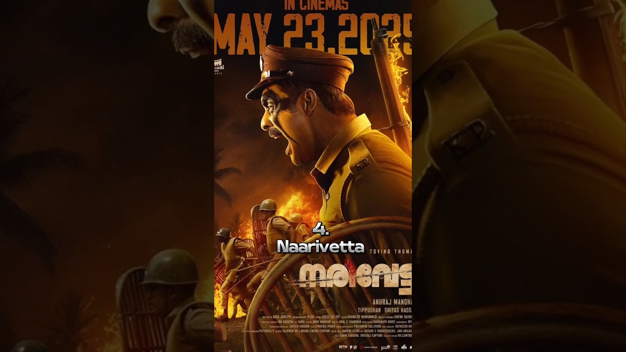Top 12 Best Suspense Crime Thriller movies of 2025 Malayalam , hindi dubbed #thriller #L2