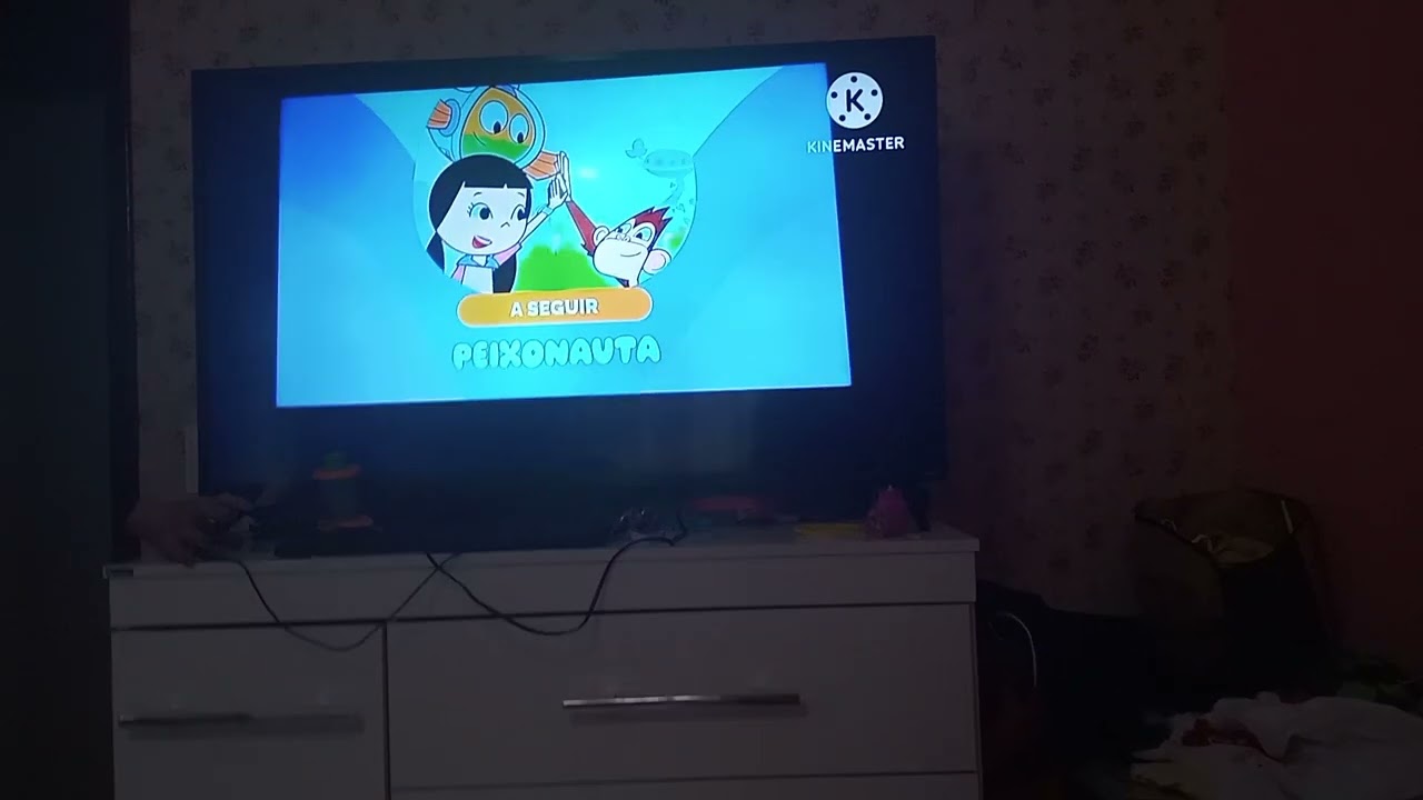 comerçou a seguir zoomoo kids