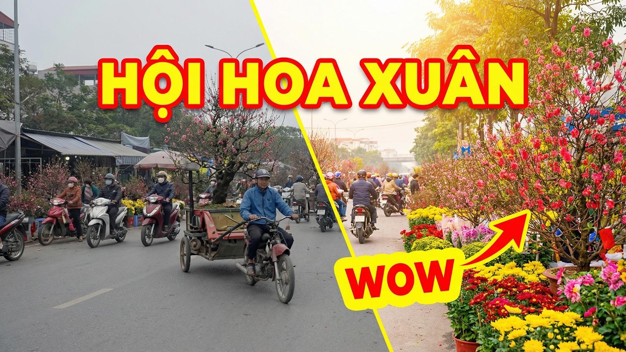 Chơi Tết Hưng Yên: Lạc vào rừng hoa Phố Hiến 2026