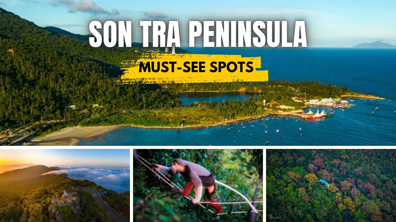 Top Tourist Attractions on Son Tra Peninsula | Da Nang, Vietnam Travel Guide ✨
