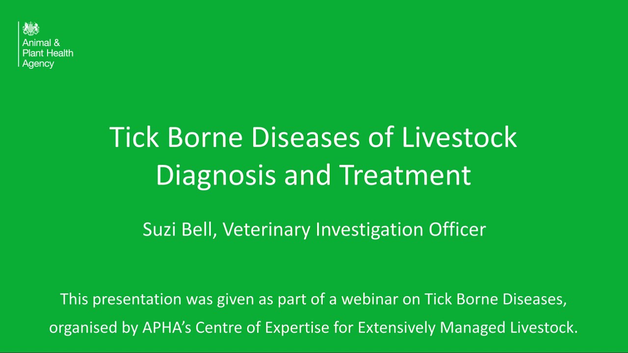 Tick Borne Diseases of livestock diagnosis and treatment
