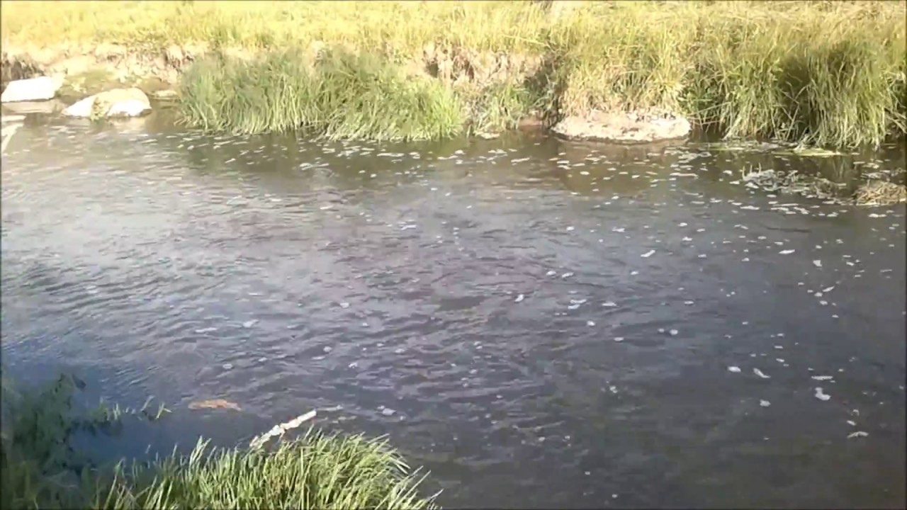 kars sarıkamış yenigazi köyü görüntüleri 30 07 2014