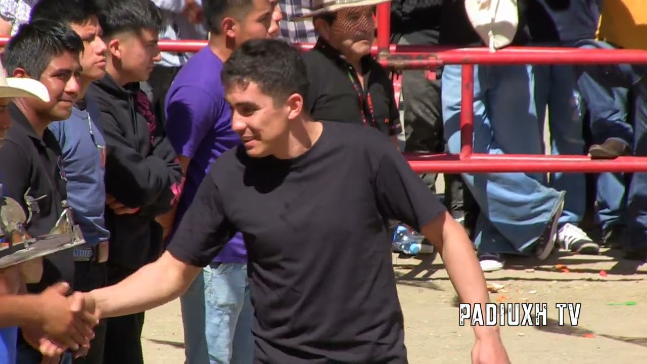 Presentación de la comisión del jaripeo