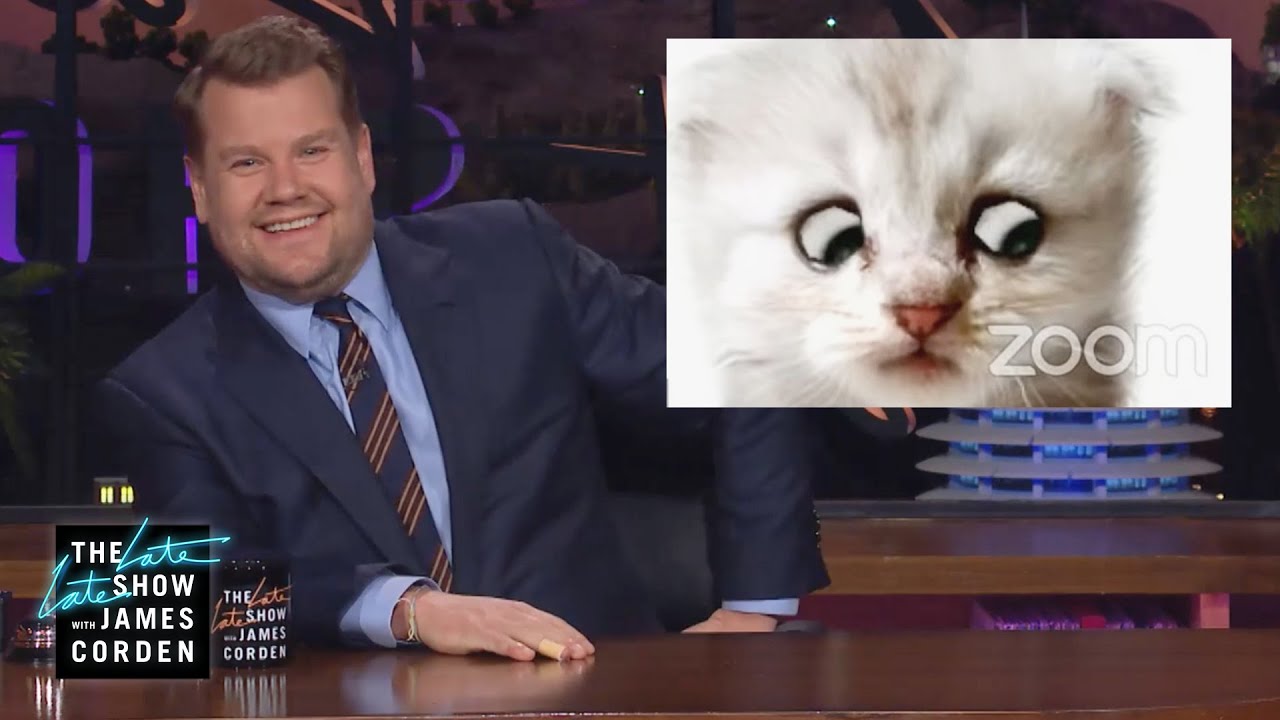 Does Trump Need the Cat Lawyer?