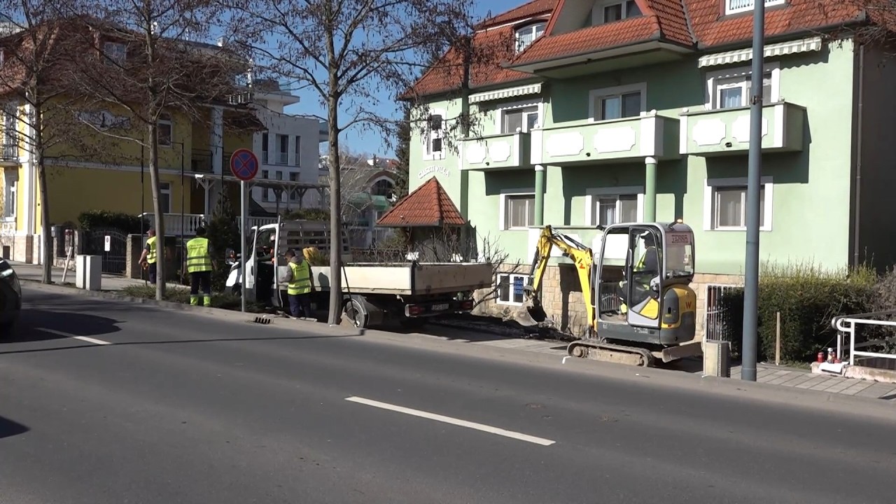 Visszakerül a zebra a főutcára