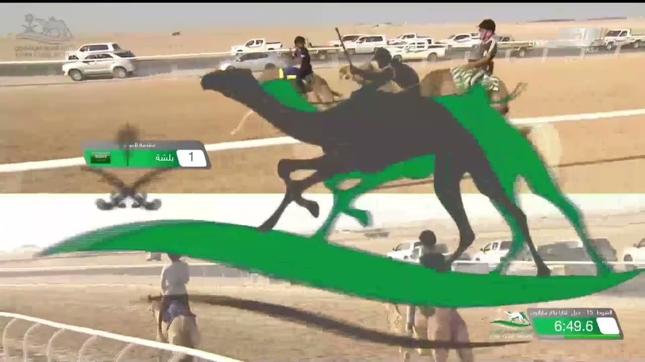 الشوط الأول ماراثون صباح يوم السبت 3-12-2022من #كأس_وزارة_الرياضة_للهجن