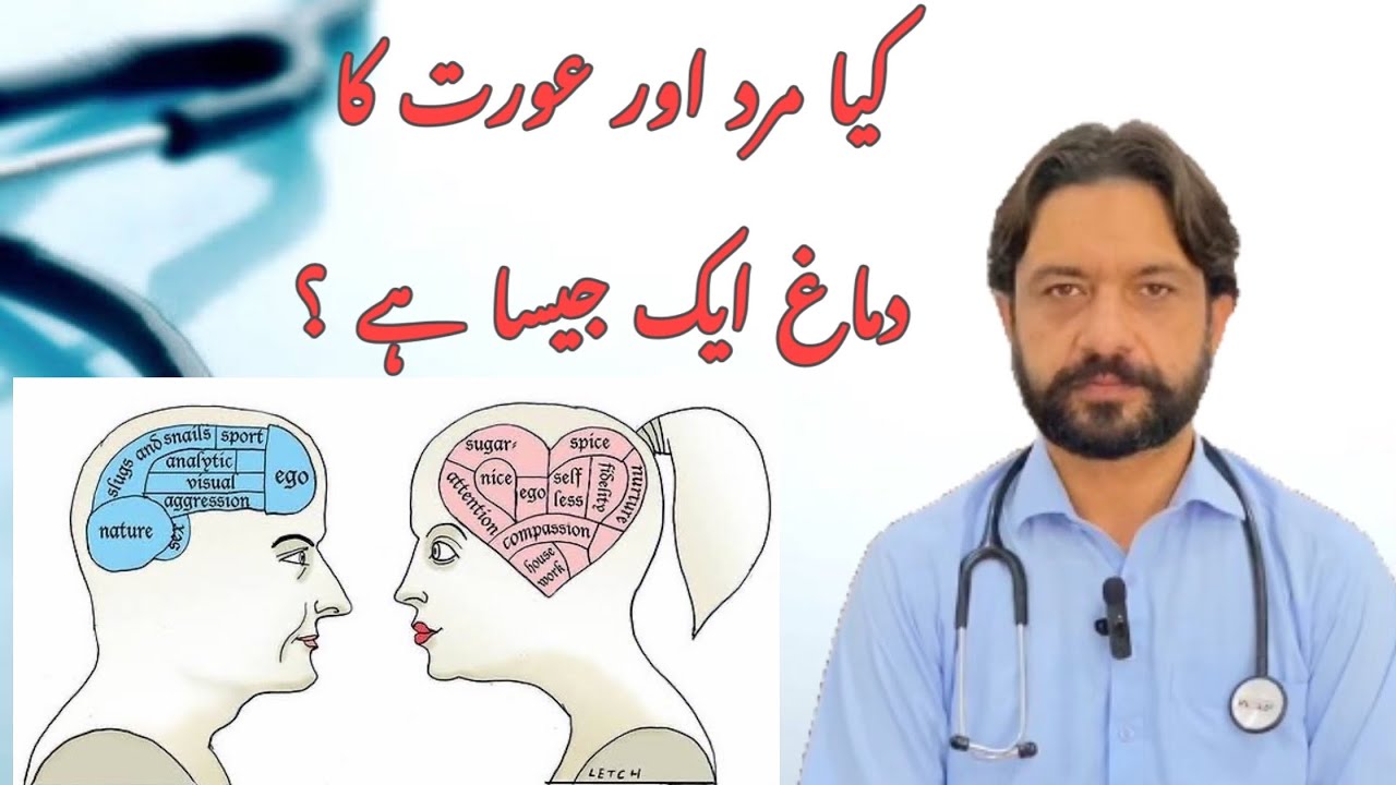 Male brain vs Female brain|مرد اور عورت کے دماغ میں فرق