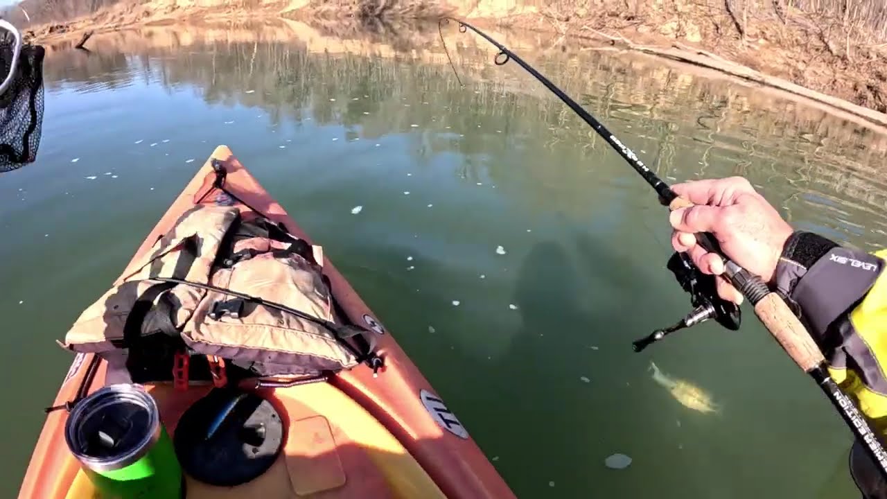 January smallmouth, spots, and a nice walleye