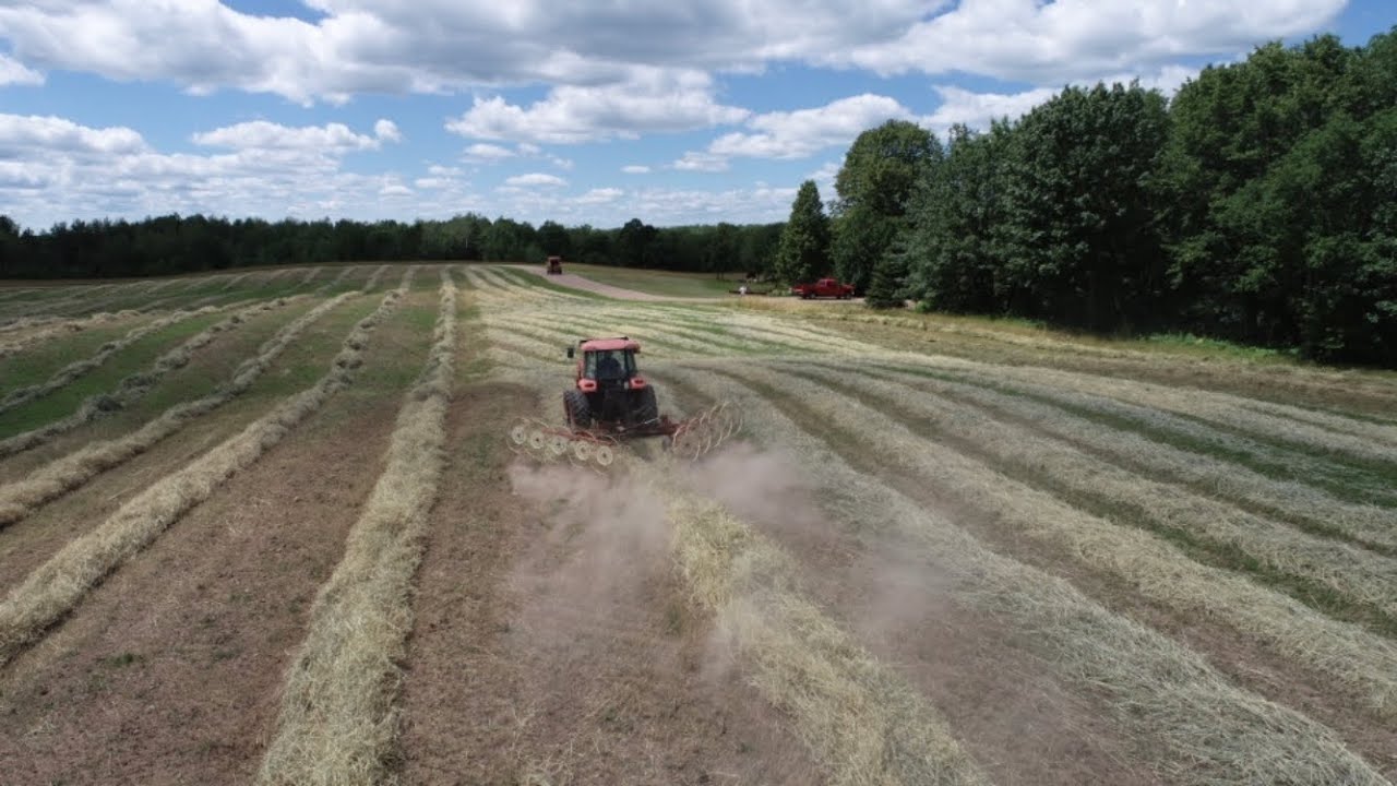 Hay Season 2022 Begins! Cutting, Raking, & Baling Last Year's Plow Day Field & Bork Breakdowns Too!