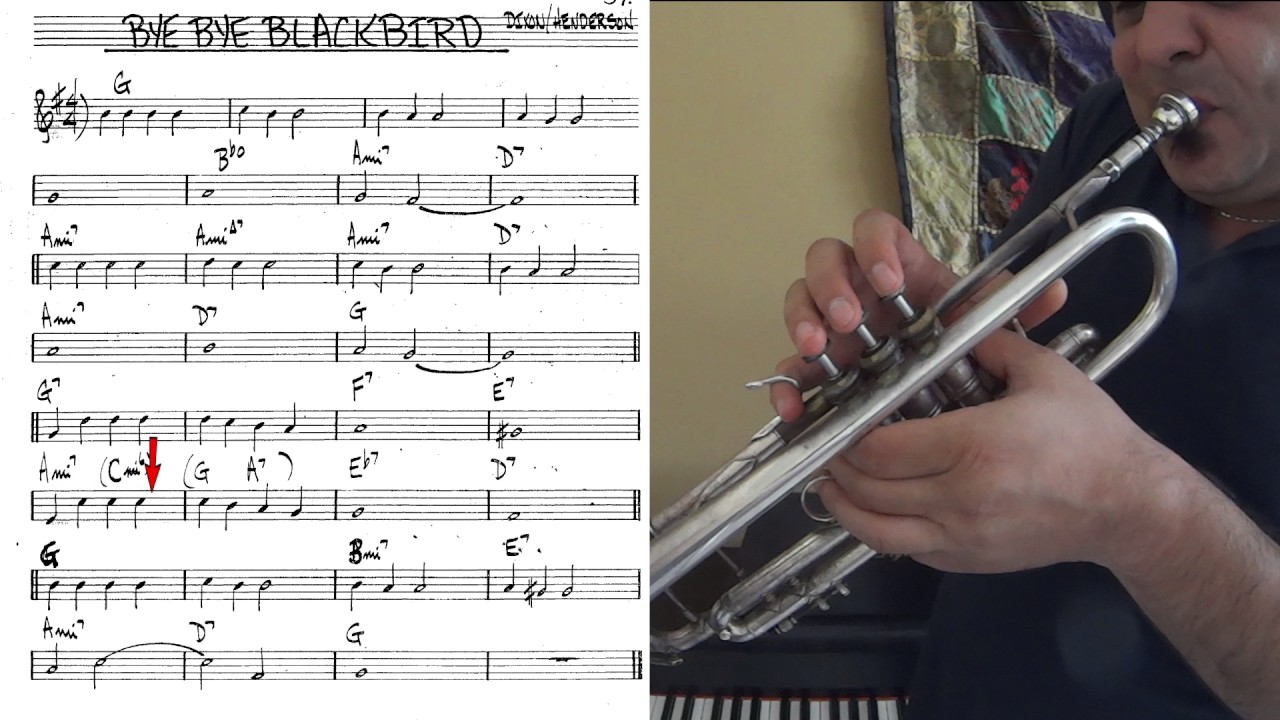 Bye Bye Blackbird - trumpet cover (slow theme tutorial)