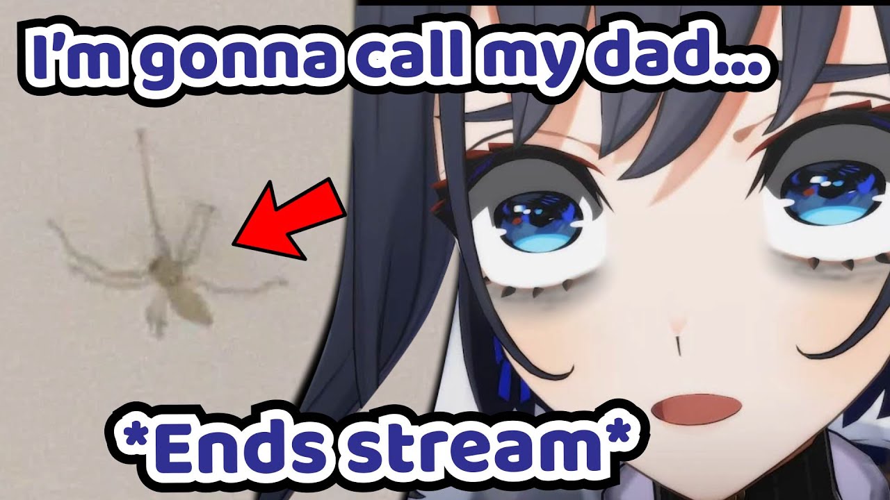 Kronii Decided to End Her Stream Because of a Spider AGAIN