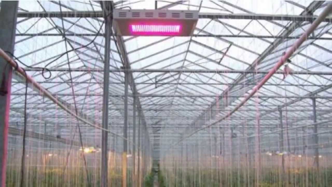 Spectrabox pro - Led Kweeklampen kopen