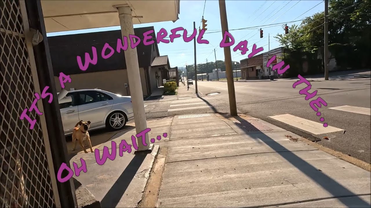 Attacked by ANOTHER Stray Dog Bicycle Ride Around Every Street in West Anniston