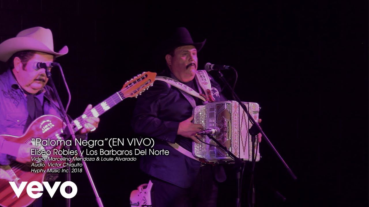 Eliseo Robles - Paloma Negra En Vivo (Video Oficial)