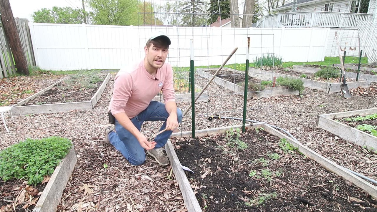 5 Tips to Take Your Direct Sowing Game to The Next Level