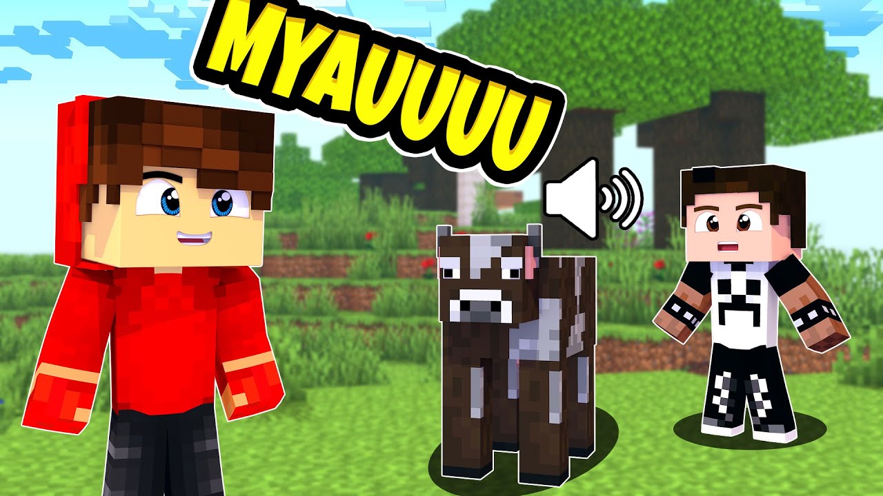 ԹՐՈԼԼԻՆԳ ԱՐԵՑԻ ԳԱԶՌՈՒԿԻՆ! MINECRAFT TROLLING