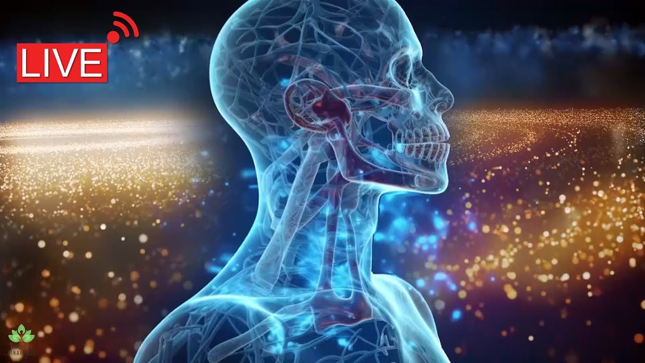 Musique pour Soulager les Maux de T&ecirc;te : Binaural Pur contre les Maux de T&ecirc;te, les Migraines Stress