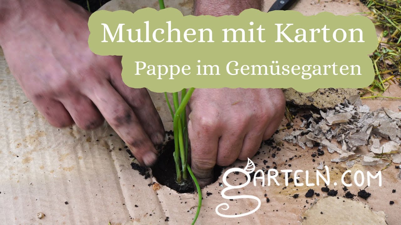 Karton bzw. Pappe als Mulchmaterial