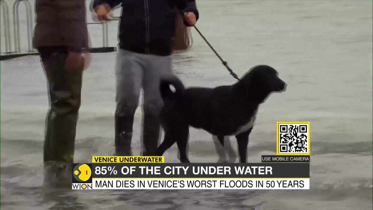 Venice Underwater: 85% of the city under water