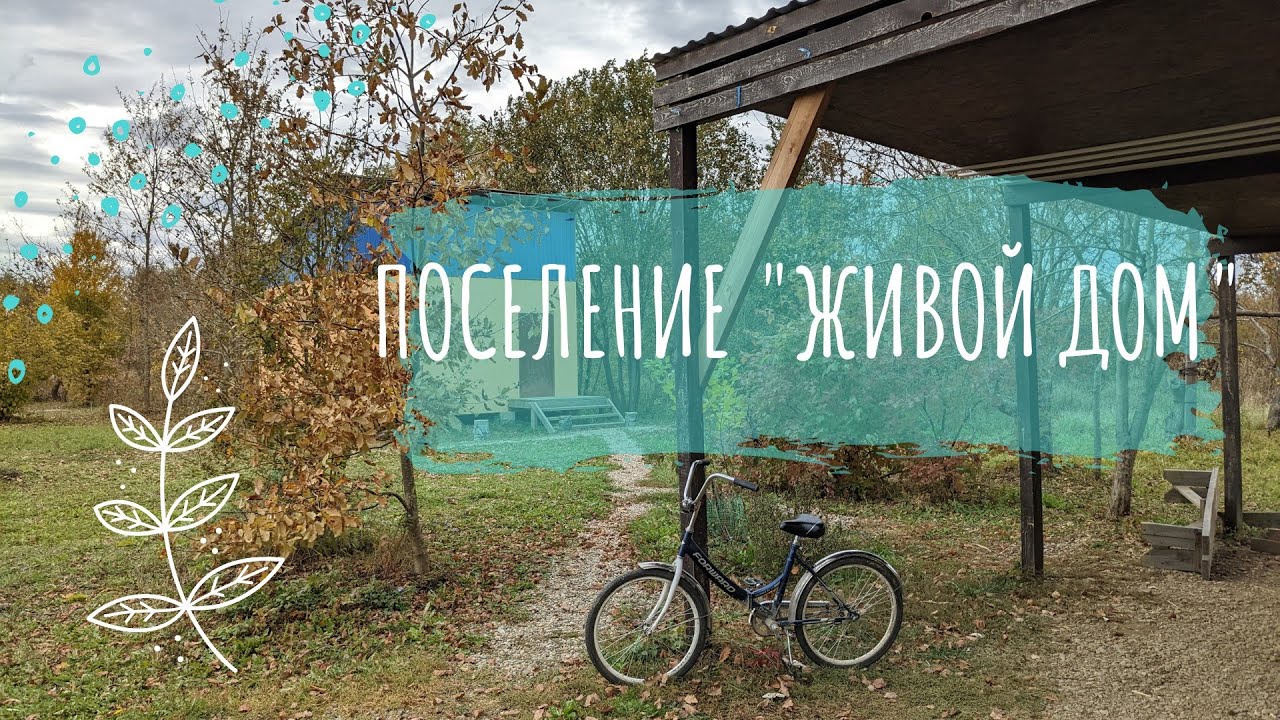 Поселение 