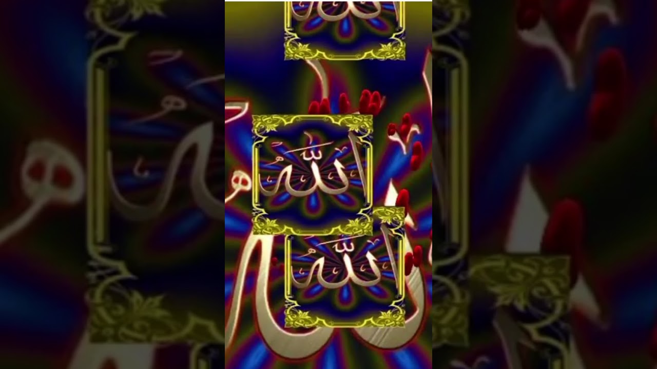 droodpak#