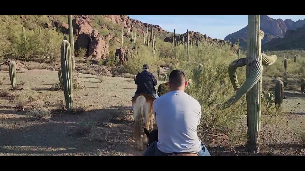 Tucson Mountain Stables 2