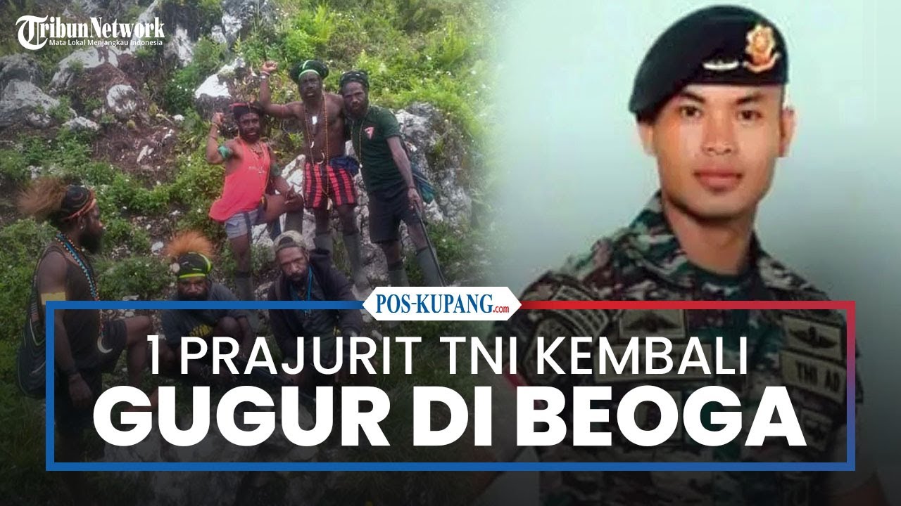 Lagi, Satu Prajurit TNI Gugur Ditembak KKB di Beoga Puncak